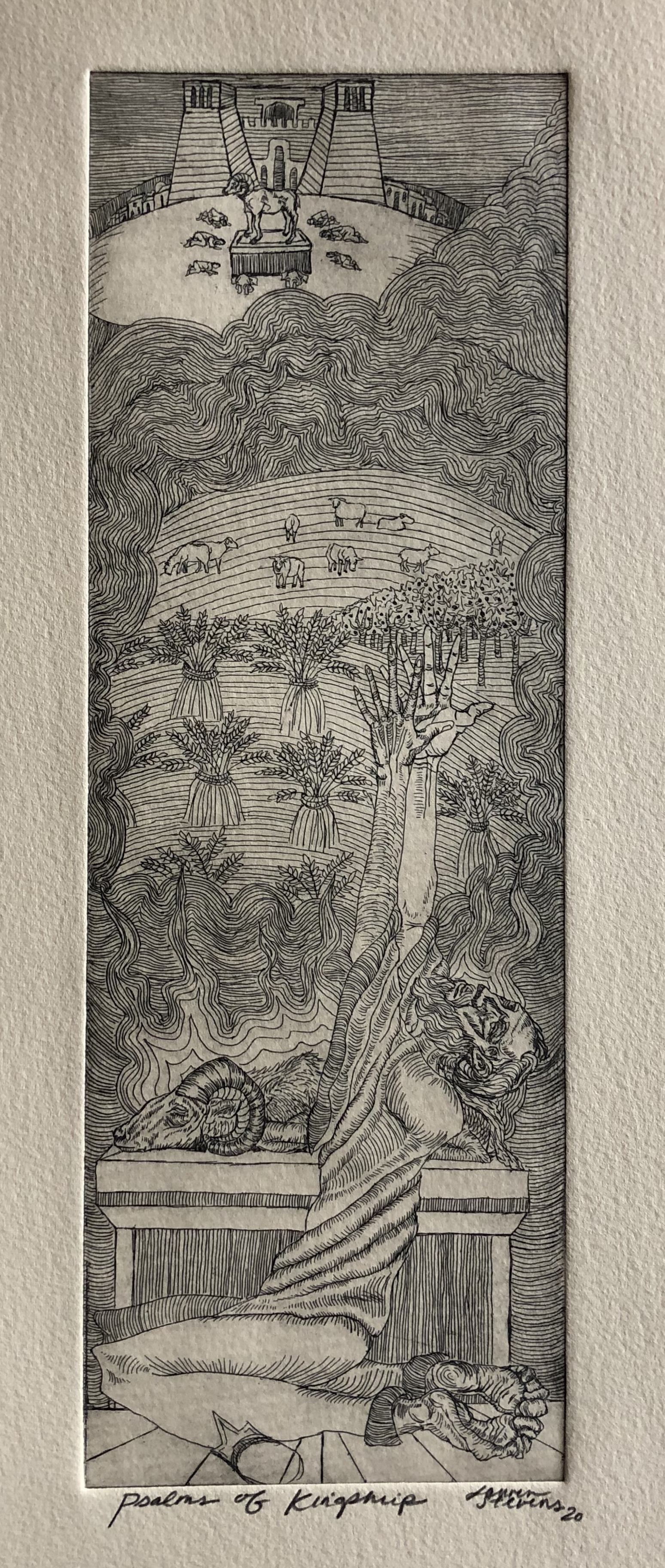 Image of the current product.